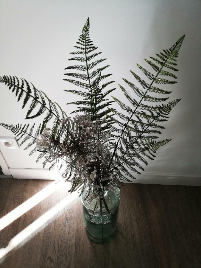 Les Insolites De Champeix 外观 照片